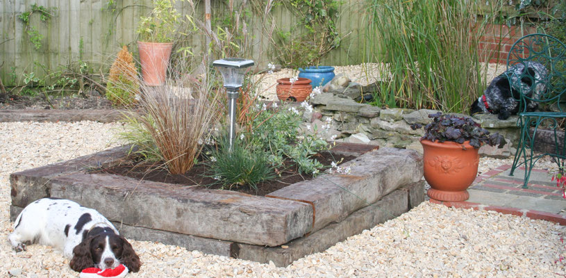 The shingle garden maturing