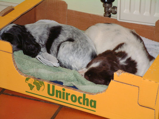 Then a bit more resting