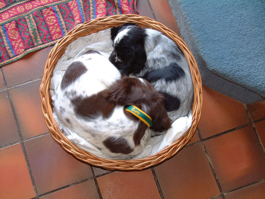 Then a bit more resting