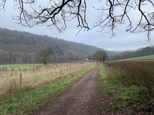 Symonds Yat, Christmas Day