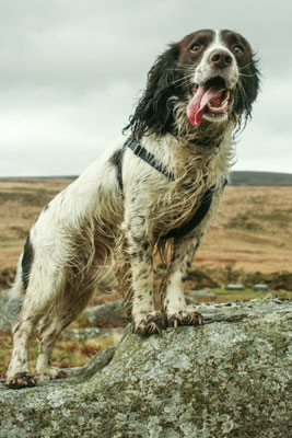 Christmas in Devon with Beryl & Ivan