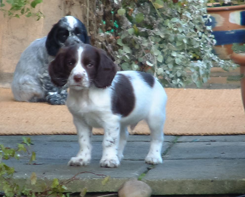 Zebedee & Rosie meet for first time ... let the games begin!