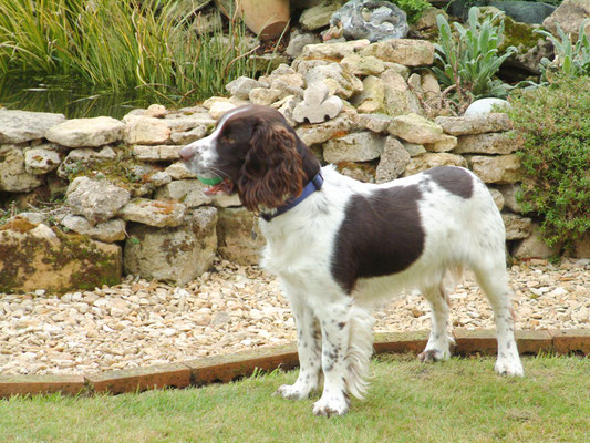 Autumn get together at the Mythe