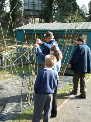 Red Hill School: willow structures