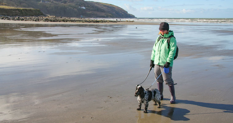 Easter in Cardigan Bay