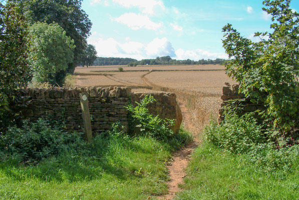 Cotswolds - The Mile gallop
