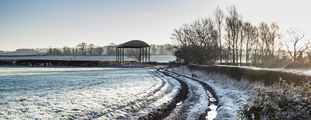 Frosty days in Throckmorton
