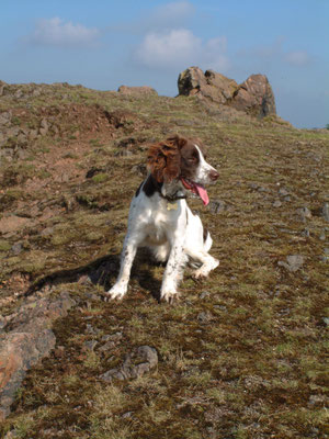 Chase End - The Malverns