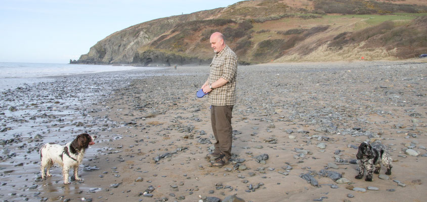 Easter in Cardigan Bay