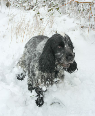 Heavy snow in Throckmorton