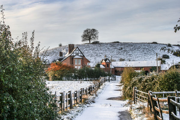 Worcester Tump in the snow
