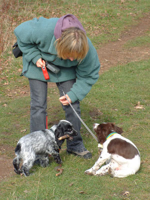 First major walk - Croome Court