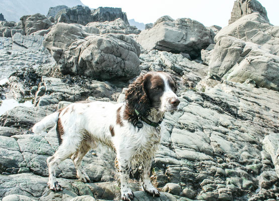 Easter hols in north Devon: staying at Ensis near Barnstaple