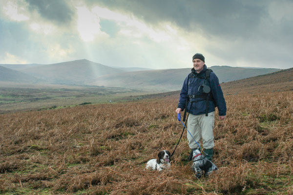 Christmas at Ensis Farm Cottages, North Devon