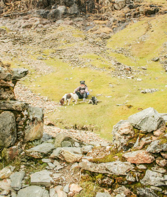 Snowdon / North Wales holiday 