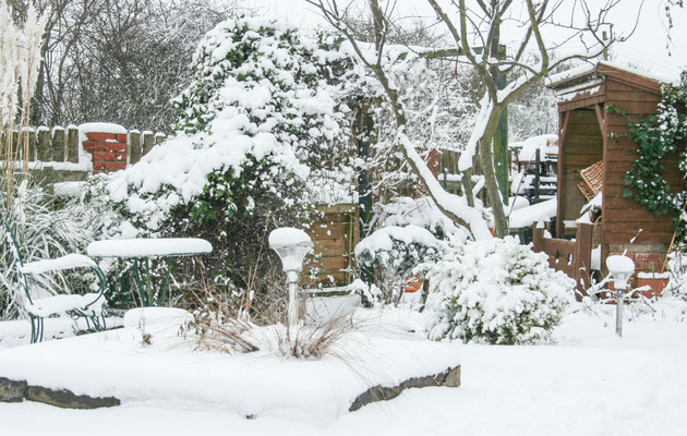 Heavy snow in Throckmorton