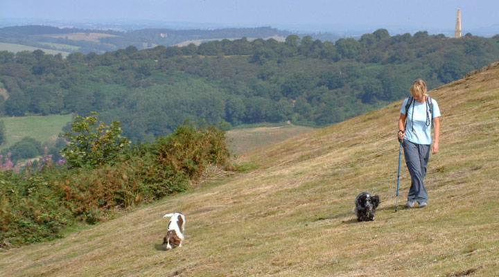 Chase End - The Malverns