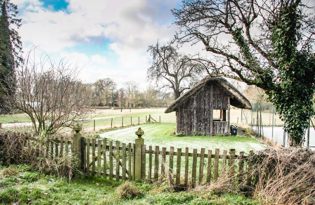 Stanton / Stanway New Years Day walk