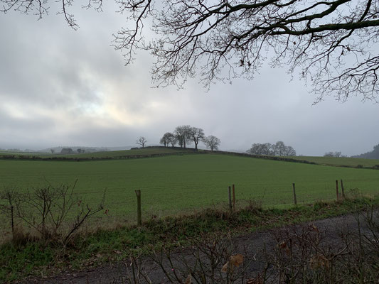 Symonds Yat, Christmas Day