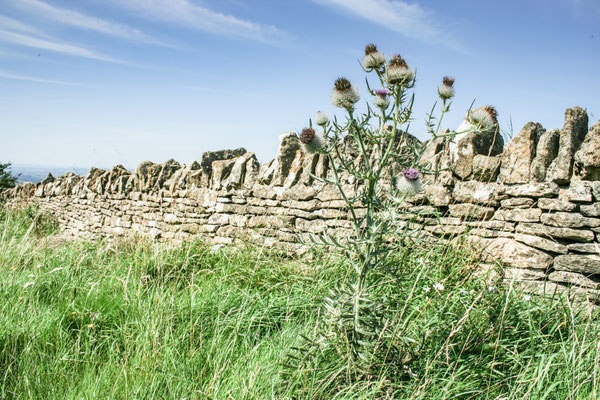 Ben Whiting came to stay