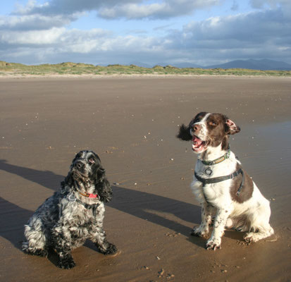 Conwy / Anglesey holiday (October)