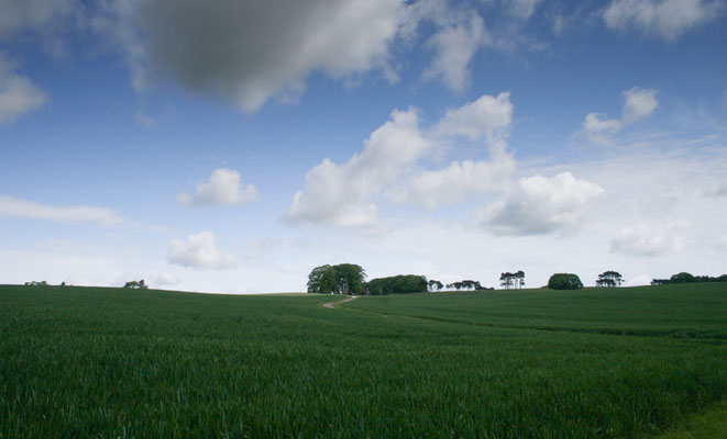 Walk on Bredon Hill from Overbury side