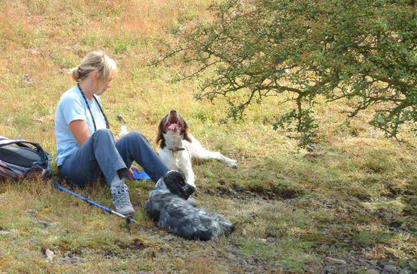 Chase End - The Malverns