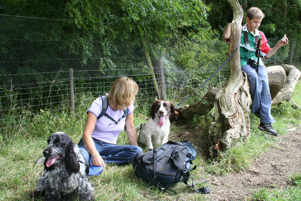 Ben comes to stay - walking on Bredon Hill
