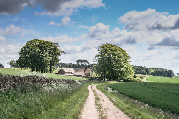 Walk on Bredon Hill from Overbury side