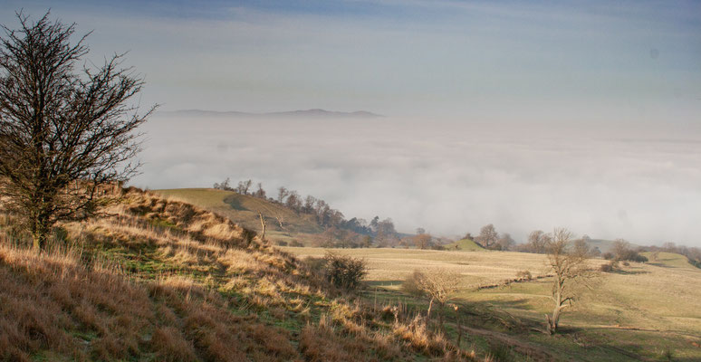 Frosty start on Bredon Walk (Malverns in background)
