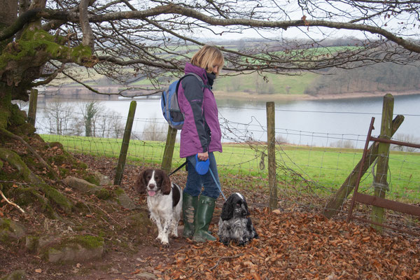 Knowstone, North Devon, Christmas hols