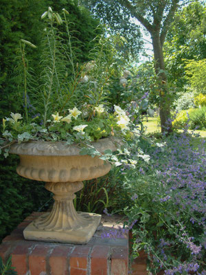 Birlingham rare plant day at Birlingham House