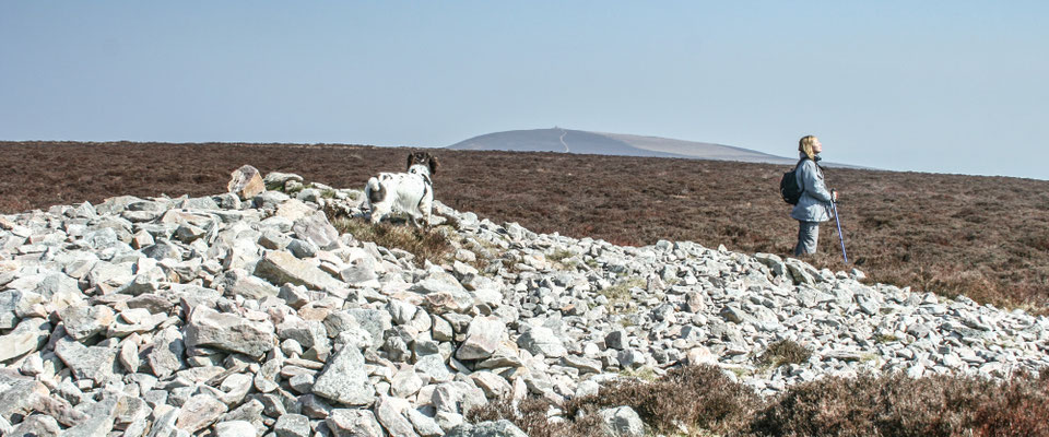 Easter hols in north Devon: Dunkery Beacon