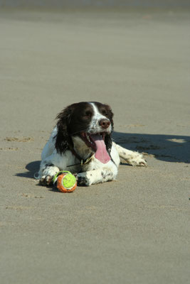 Snowdon / North Wales holiday 