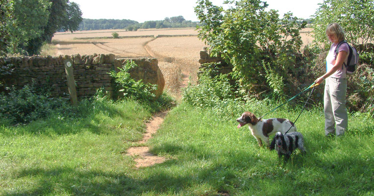 Cotswolds - The Mile gallop