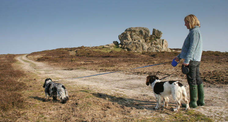 South Wales holiday _ Haverford West