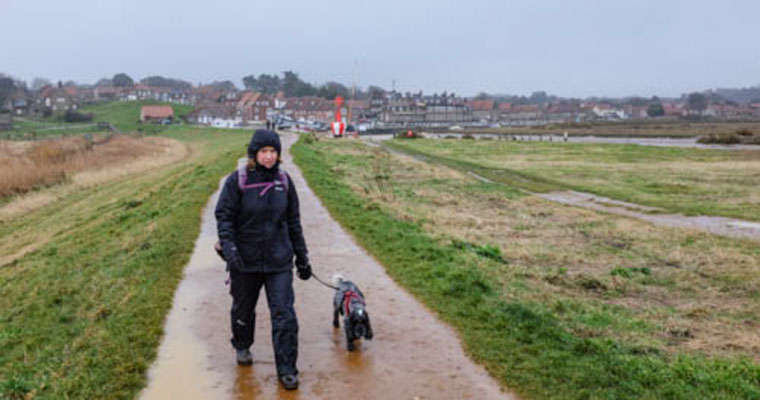 February, Skeyton stay, Norfolk