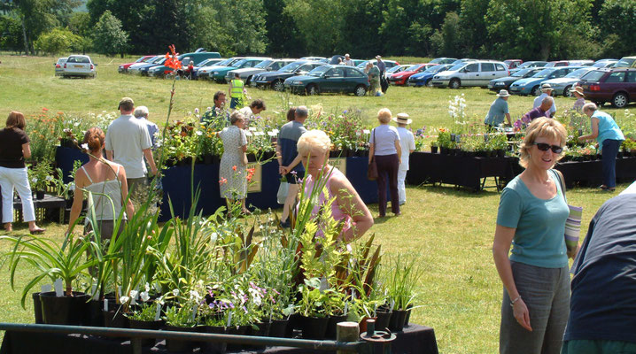 Birlingham rare plant day at Birlingham House