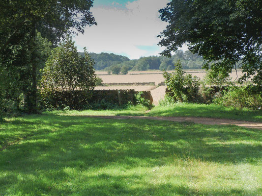 Cotswolds - The Mile gallop