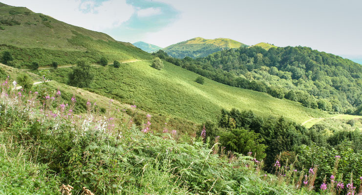 Ben Whiting came to stay