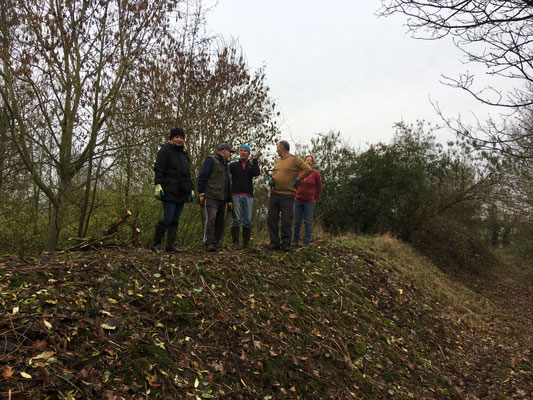 Work party, Shorthorn Woods