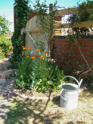 New gate in the garden
