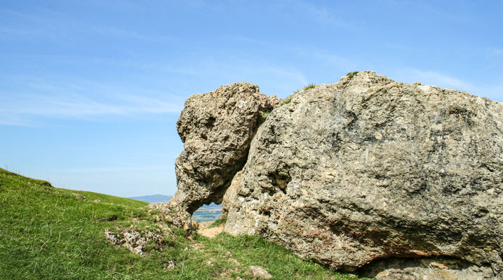 Ben Whiting came to stay