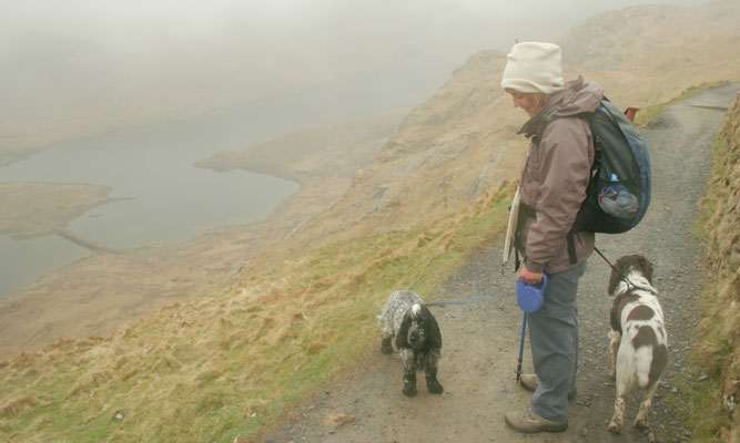 Snowdon / North Wales holiday 