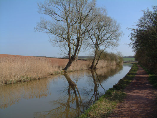 Canal walk near Oddingley with Phil & Will