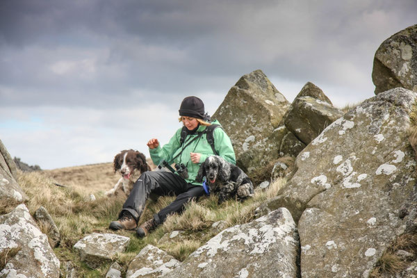 Easter in Cardigan Bay