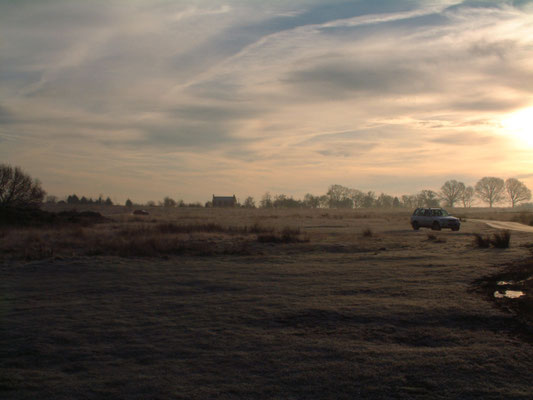 Walking William on Welland Common - early morning 
