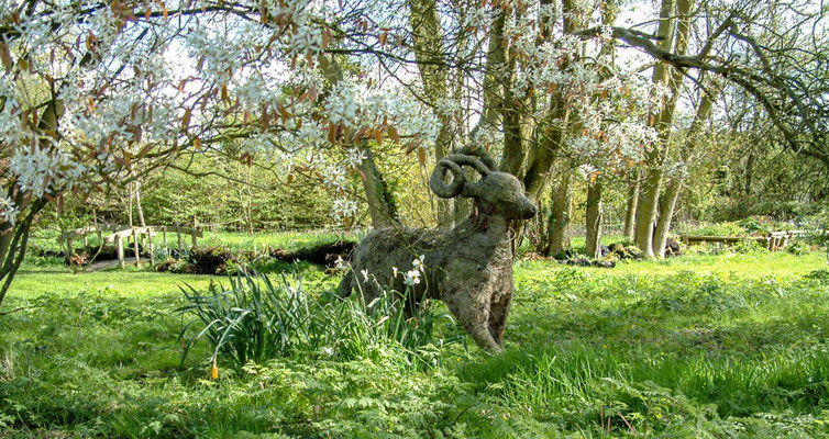 White Cottage Gardens, Stock Green - geranium collection