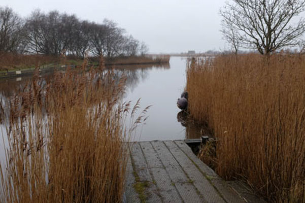 February, Skeyton stay, Norfolk