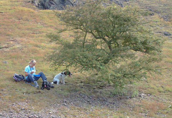 Chase End - The Malverns